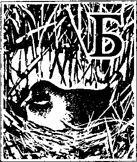 На речных берегах - image048.png