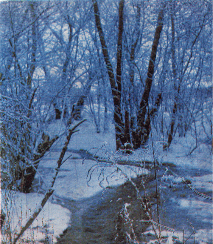 На речных берегах - image058.png