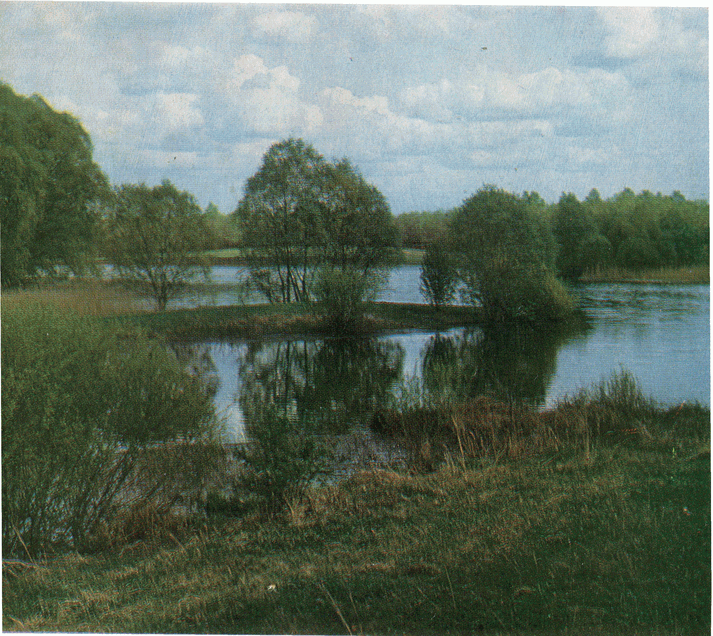 На речных берегах - image060.png