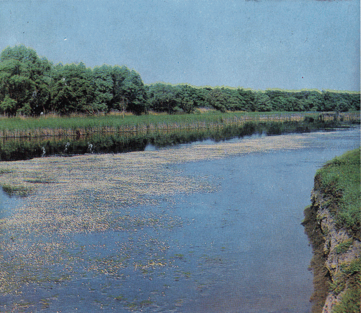 На речных берегах - image076.png