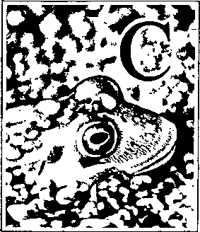 На речных берегах - image078.png