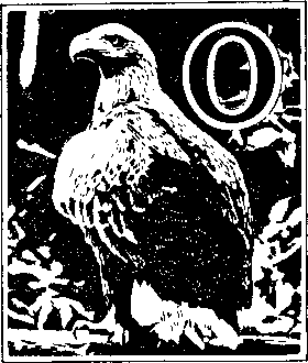 На речных берегах - image086.png