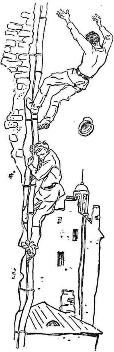 Двуликий Янус - pic_2.jpg