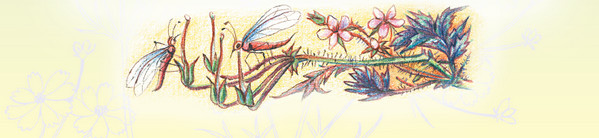 Тайна гранатовых зёрен - i_033.jpg