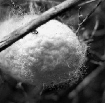 Вопросительная история - i_096.jpg