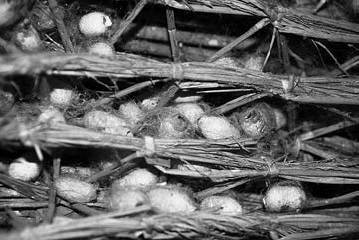 Вопросительная история - i_097.jpg