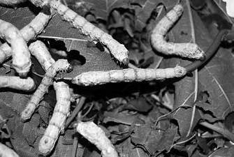 Вопросительная история - i_098.jpg