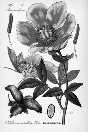 Вопросительная история - i_100.jpg