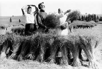 Вопросительная история - i_206.jpg