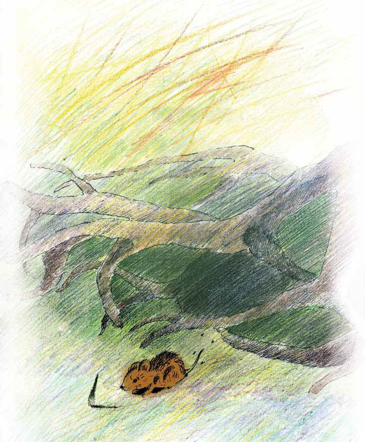 Мышонок и Подснежник - _3.jpg