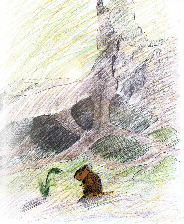 Мышонок и Подснежник - _4.jpg