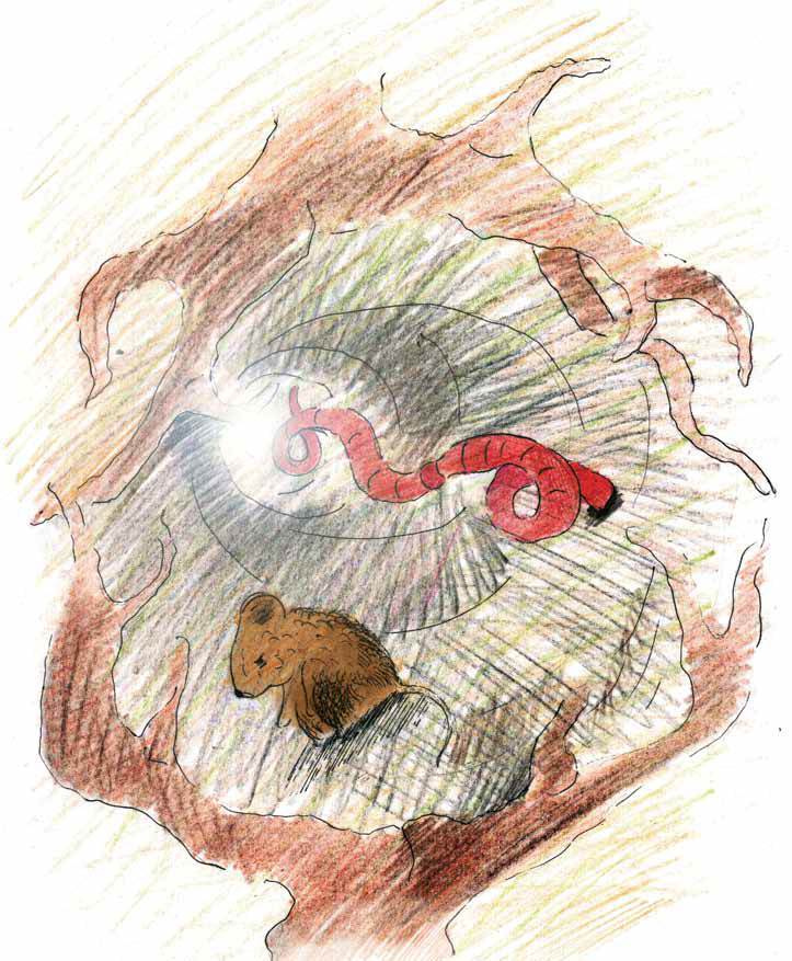 Мышонок и Подснежник - _5.jpg