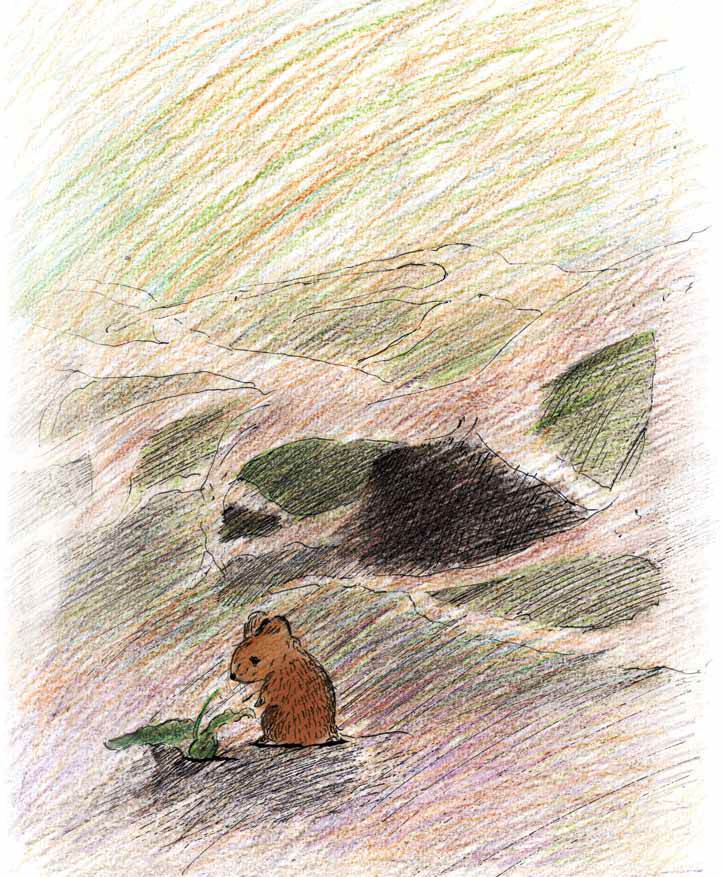 Мышонок и Подснежник - _7.jpg