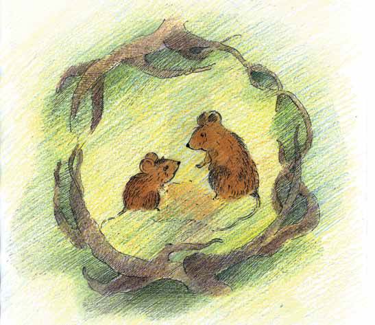 Мышонок и Подснежник - _8.jpg