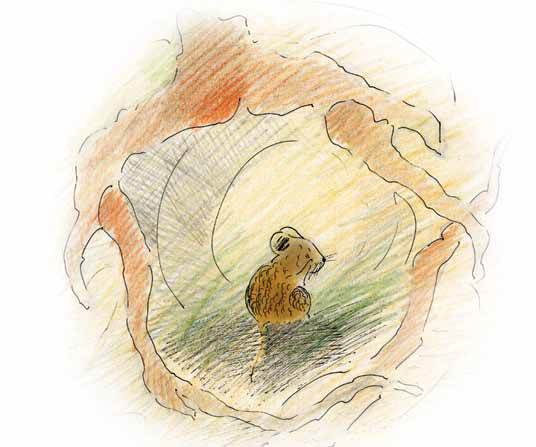 Прятки - i_001.jpg