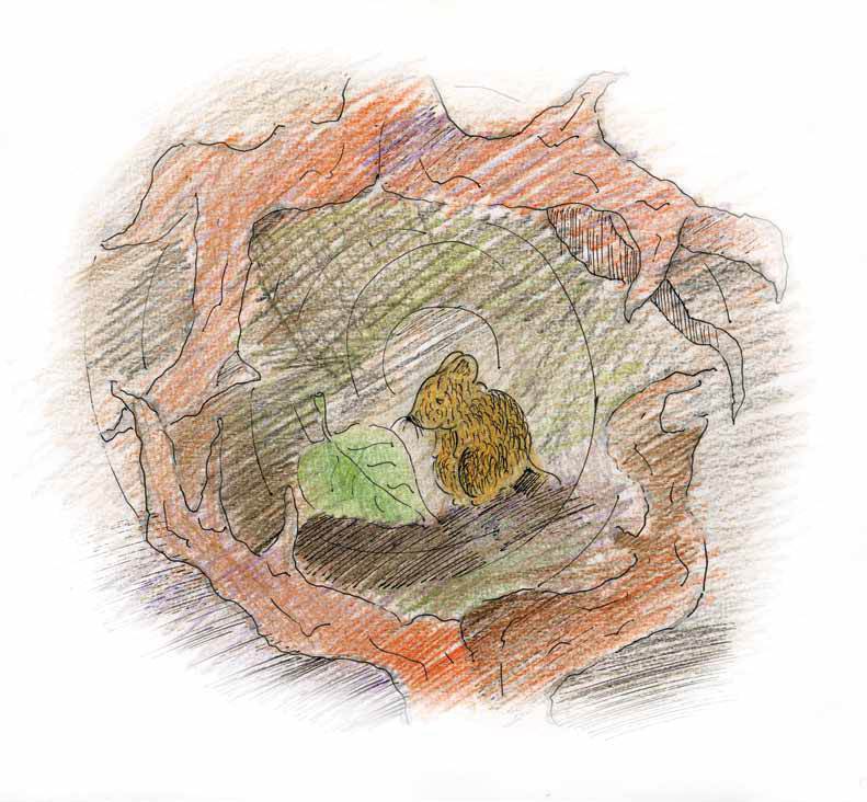 Полосатый захватчик - i_005.jpg