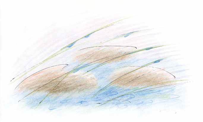 Старый ворон - i_006.jpg