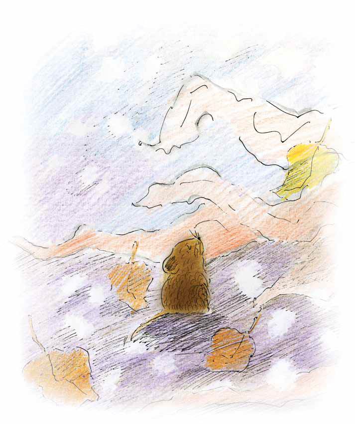 Старый ворон - i_007.jpg