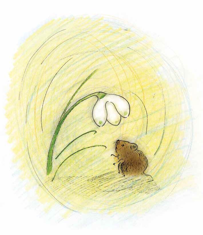 Старый ворон - i_008.jpg