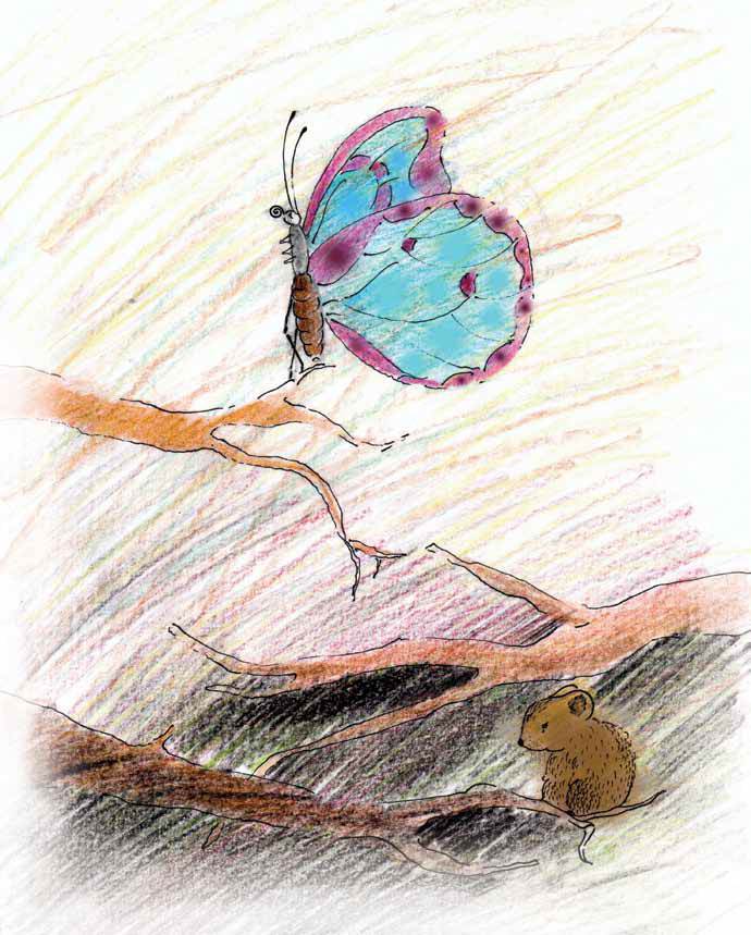 Лохматая незнакомка - i_005.jpg