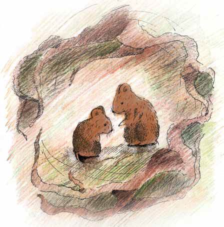 Лохматая незнакомка - i_006.jpg