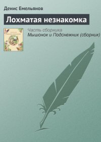 Лохматая незнакомка - Емельянов Денис