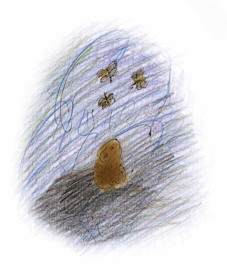 Голос ночи - i_003.jpg