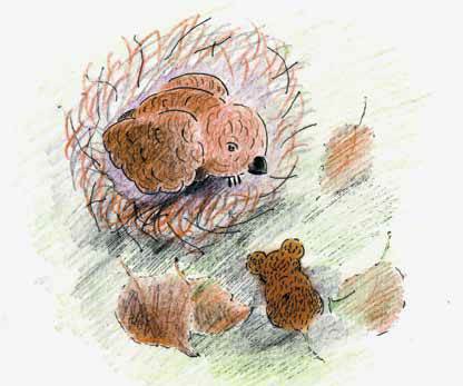 Старший и сильный - _2.jpg