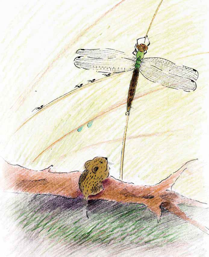 Старший и сильный - _3.jpg