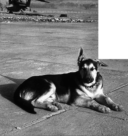 История Авиации 2004 06 - pic_102.png