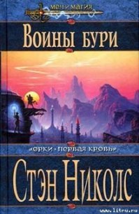 Воины Бури - Николс Стэн