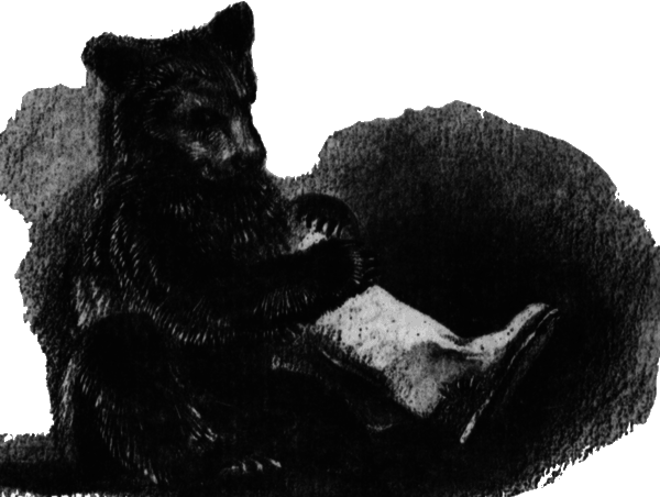 Медведь и бабочка - i_002.png