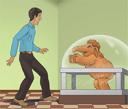 Мамонтенок из прошлого - i_033.jpg