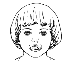 Речевая гимнастика. Игры и задания для развития речи у дошкольников - i_020.png