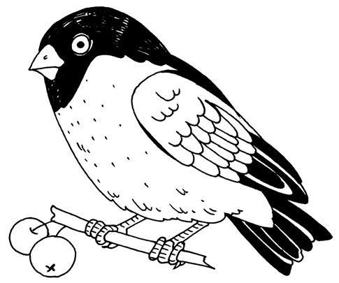 Речевая гимнастика. Игры и задания для развития речи у дошкольников - i_048.jpg