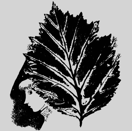 Собаки не ошибаются - img32.png