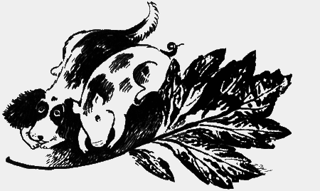 Собаки не ошибаются - img34.png