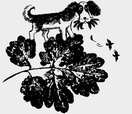 Собаки не ошибаются - img37.png