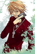 Серия книг Черный Лебедь Olie