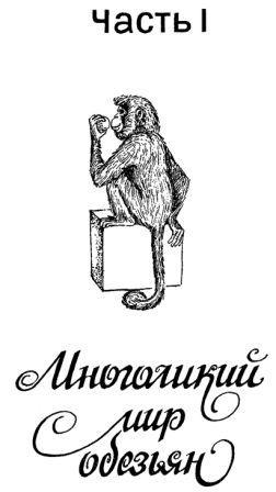 Обезьяны, обезьяны, обезьяны... - _3.jpg