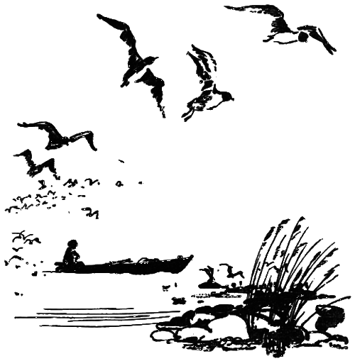 Нежнорогий возвращается в лес - i_001.png