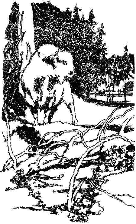 Нежнорогий возвращается в лес - i_003.png