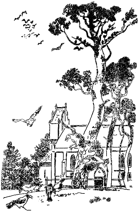 Нежнорогий возвращается в лес - i_011.png