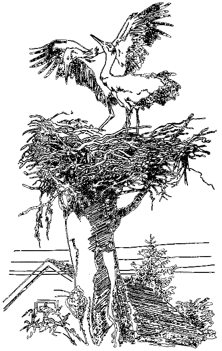 Нежнорогий возвращается в лес - i_013.png