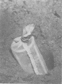 Тайные тропы носителей смерти - _61.jpg