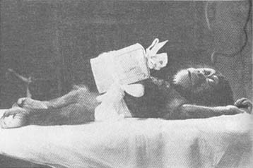 Тайные тропы носителей смерти - _75.jpg