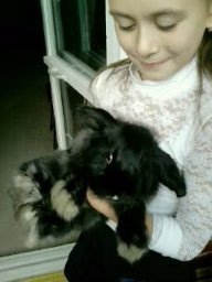 Заяц (СИ) - Громов Альберт