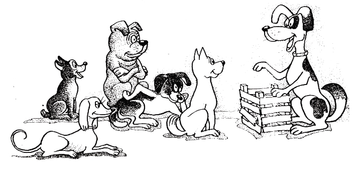 Про умного Карла - img085207copy.jpg