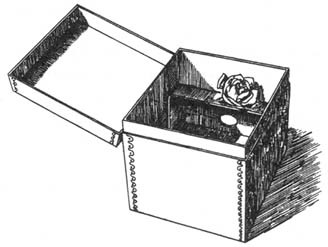 Из жизни пчёл - _40.jpg