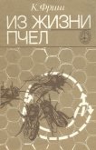 Читать книгу Из жизни пчёл, автор Фриш Карл Из жизни пчёл - Фриш Карл
